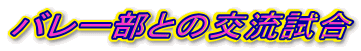 o[Ƃ̌𗬎